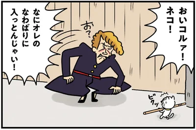 オレのなわばり