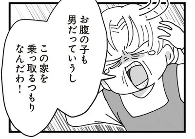 この家を乗っ取るつもりなんだわ！