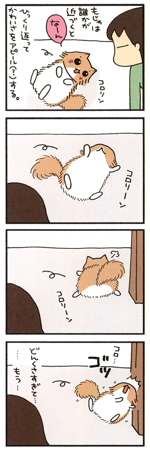 もじゃのCP（チャームポイント）