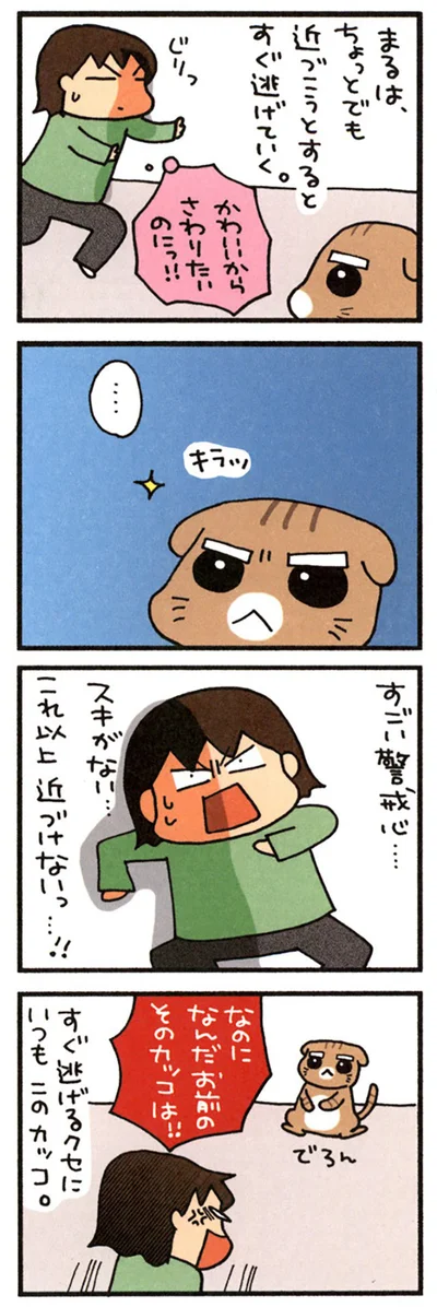 これでも警戒中