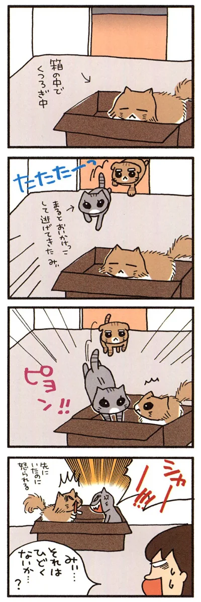 理不尽