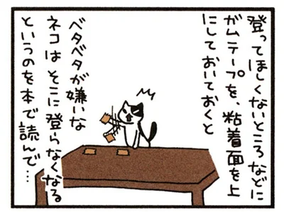 ガムテープトラップを仕掛けて見た