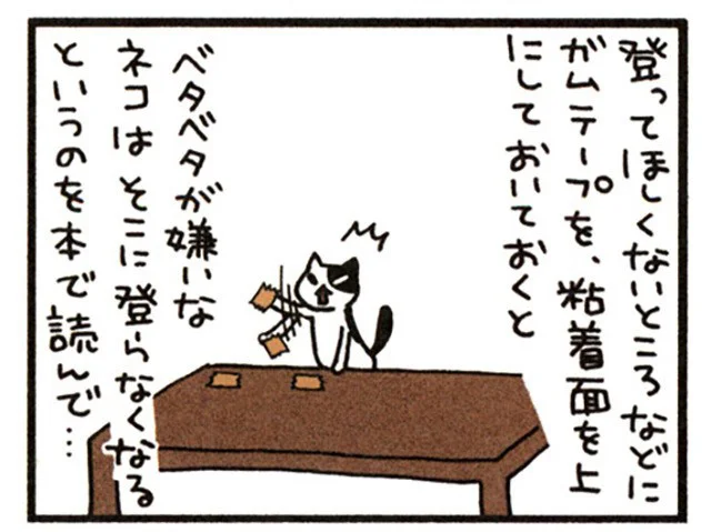飼いねこを近づけたくない場所にガムテープトラップを仕掛けてみたら／うちの3ねこ（2）