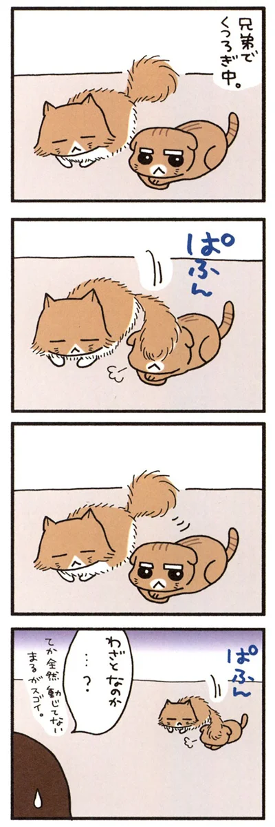 くつろぐ兄弟