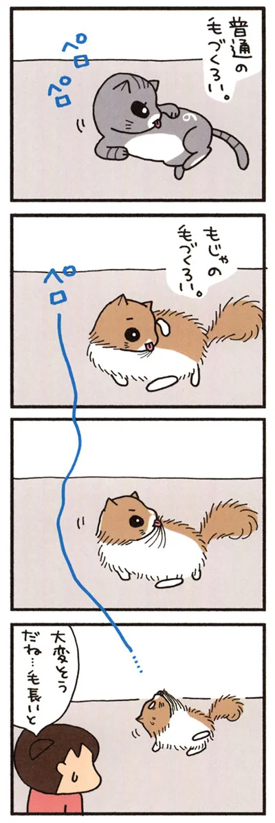 毛づくろい