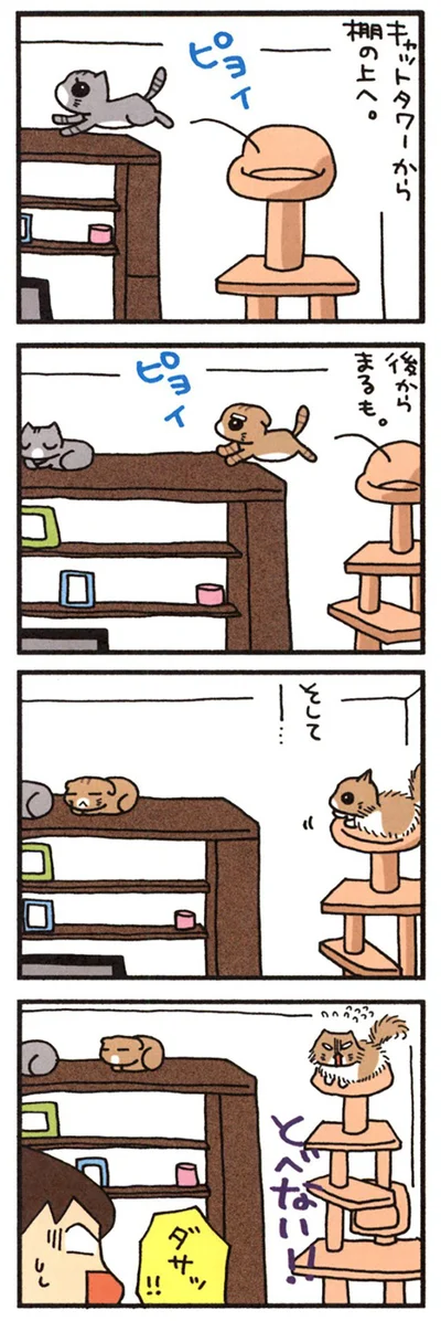 ネコなんですけど