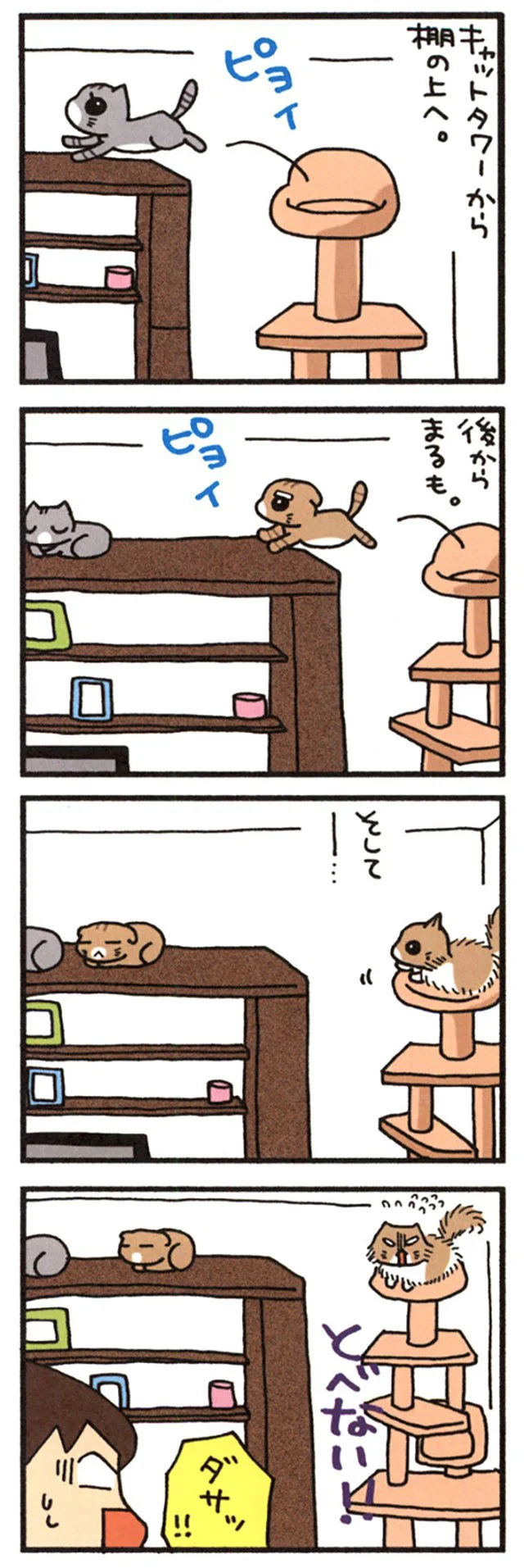 ネコなんですけど