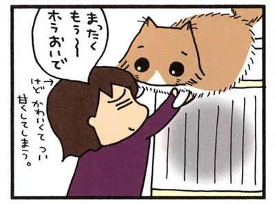 ホラおいで