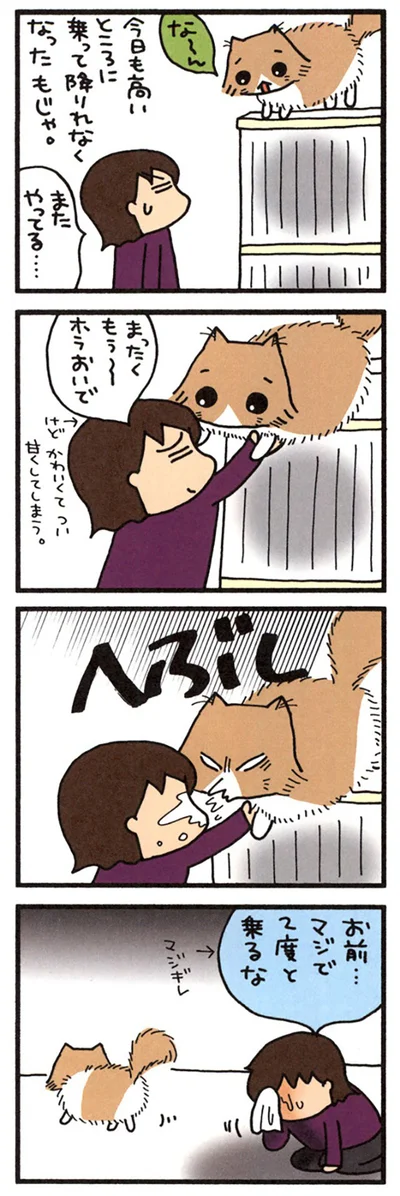 助けてやったのに