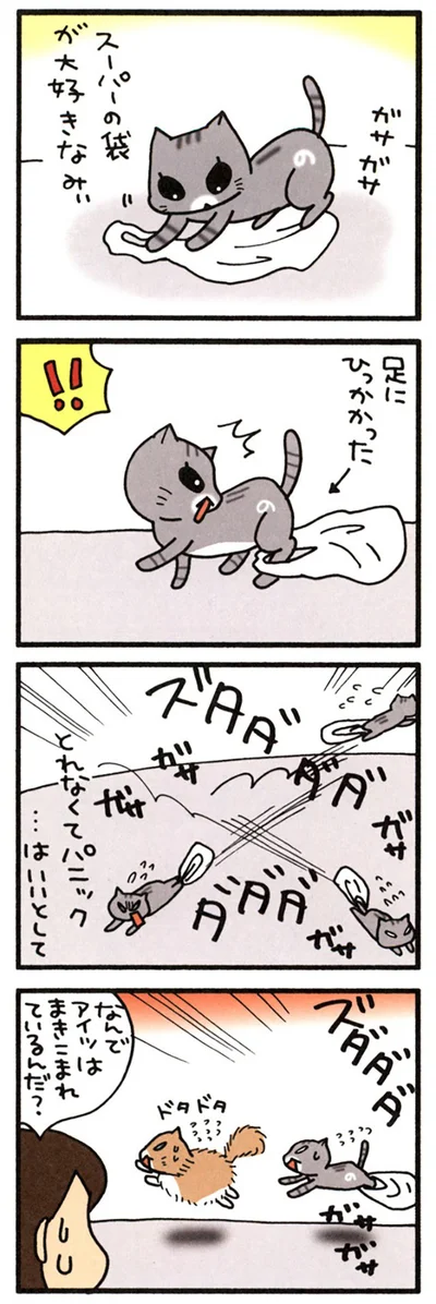 とばっちり