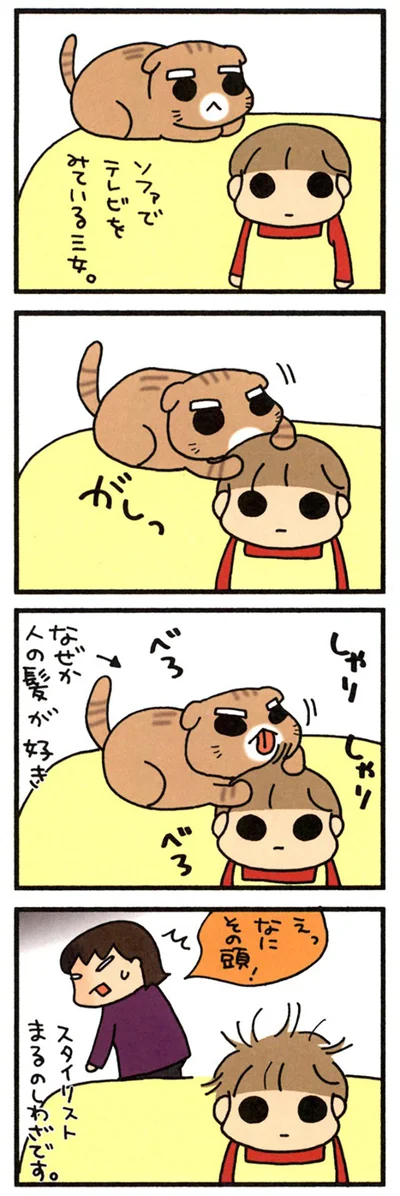 スタイリストまる
