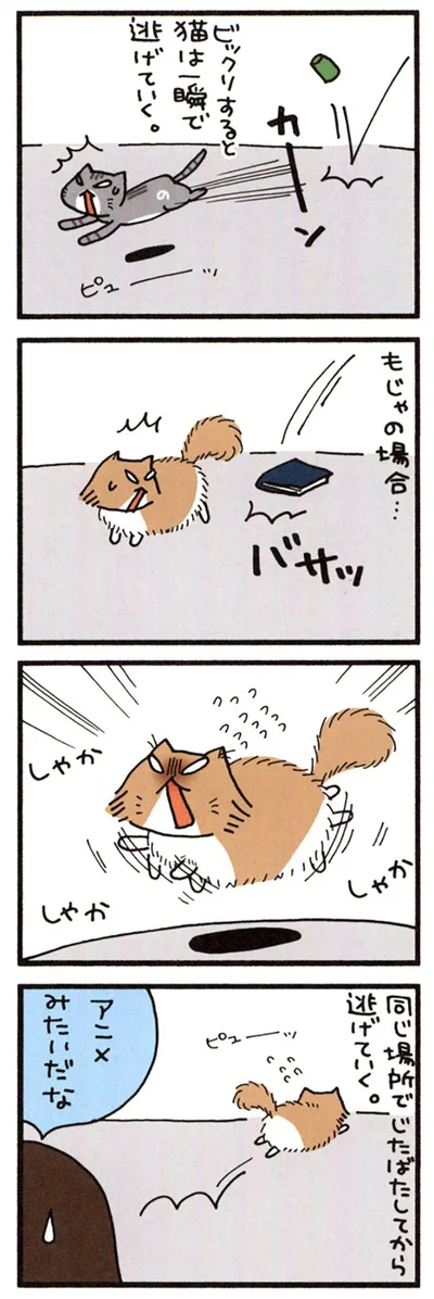 どこまでものろま