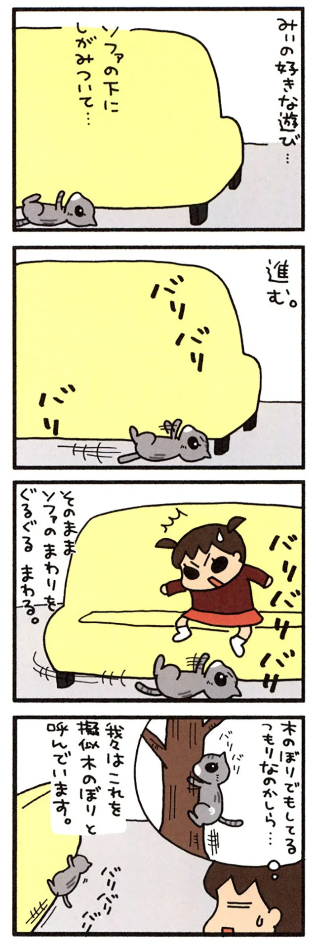 みぃの遊び