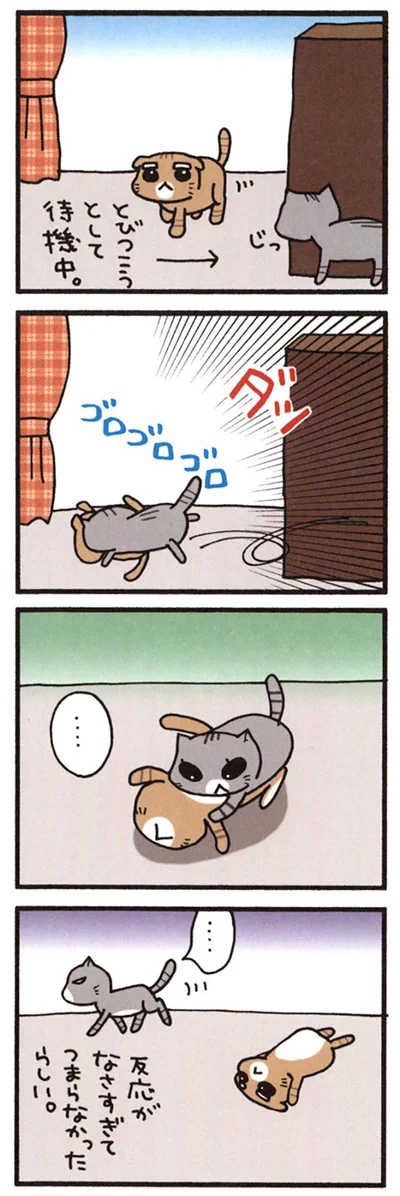 先制攻撃