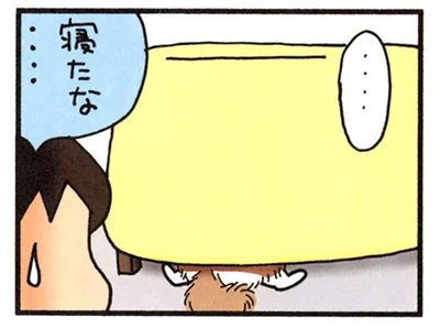 寝たな…