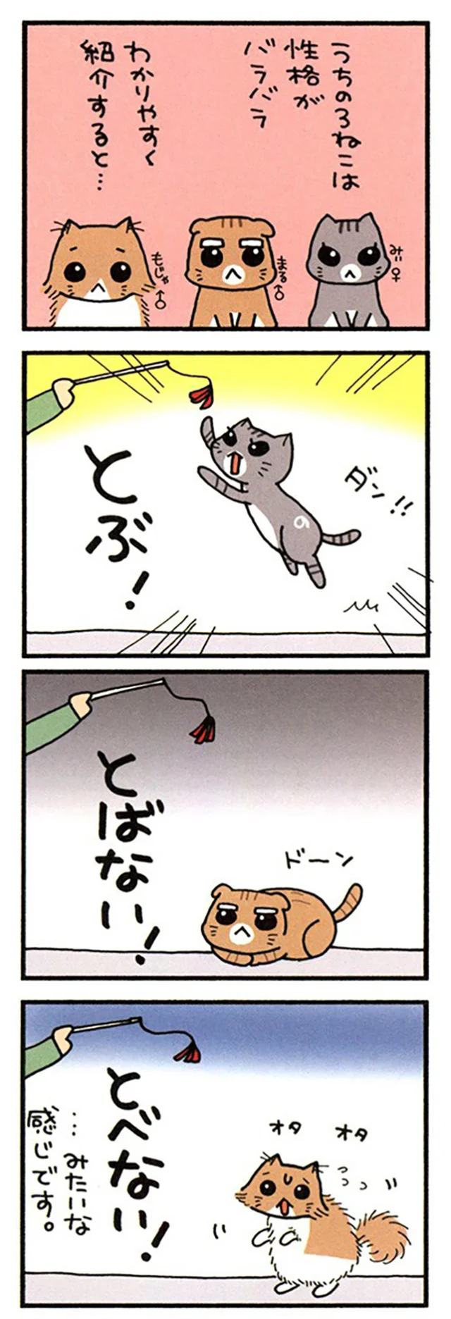 うちの3ねこ