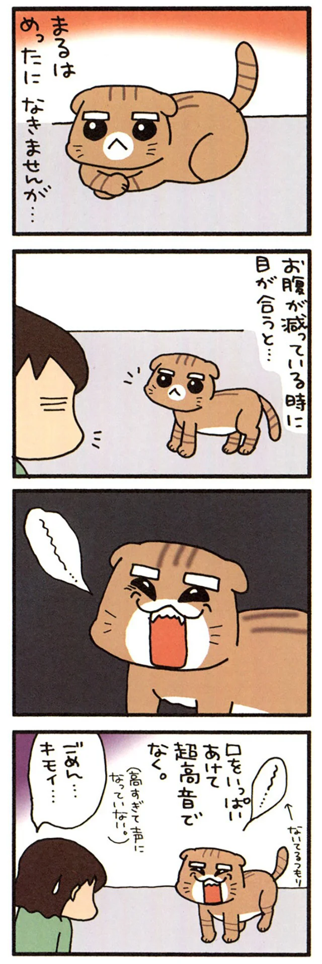 まるの鳴き顔