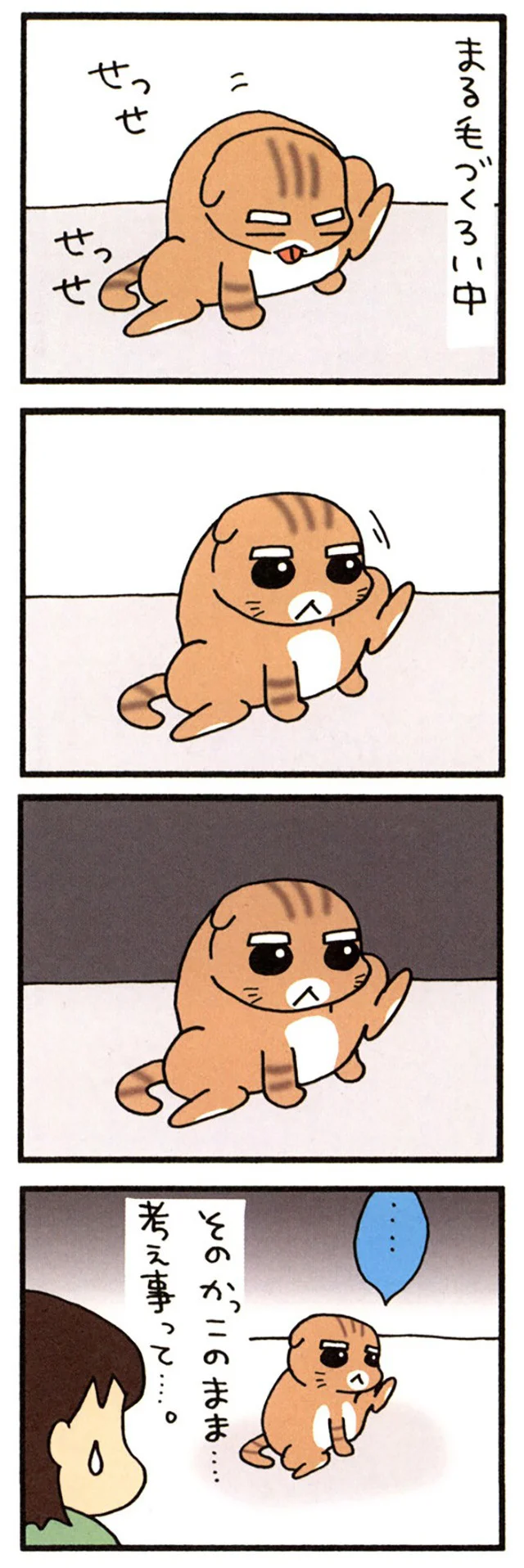 まるの毛づくろい