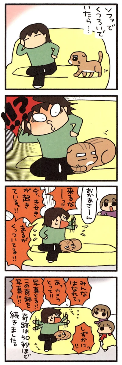 まるの奇跡