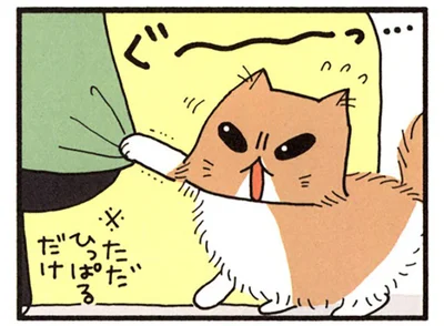 服に爪が引っかかった時