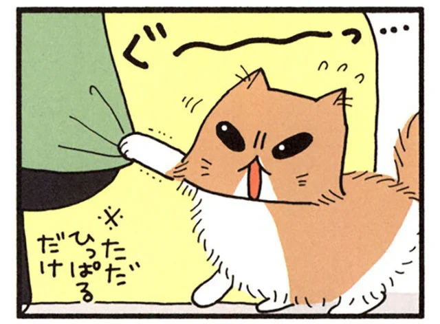 ねこの個性って面白い！ 飼い主の服に爪が引っかかった時の反応／うちの3ねこ（9）