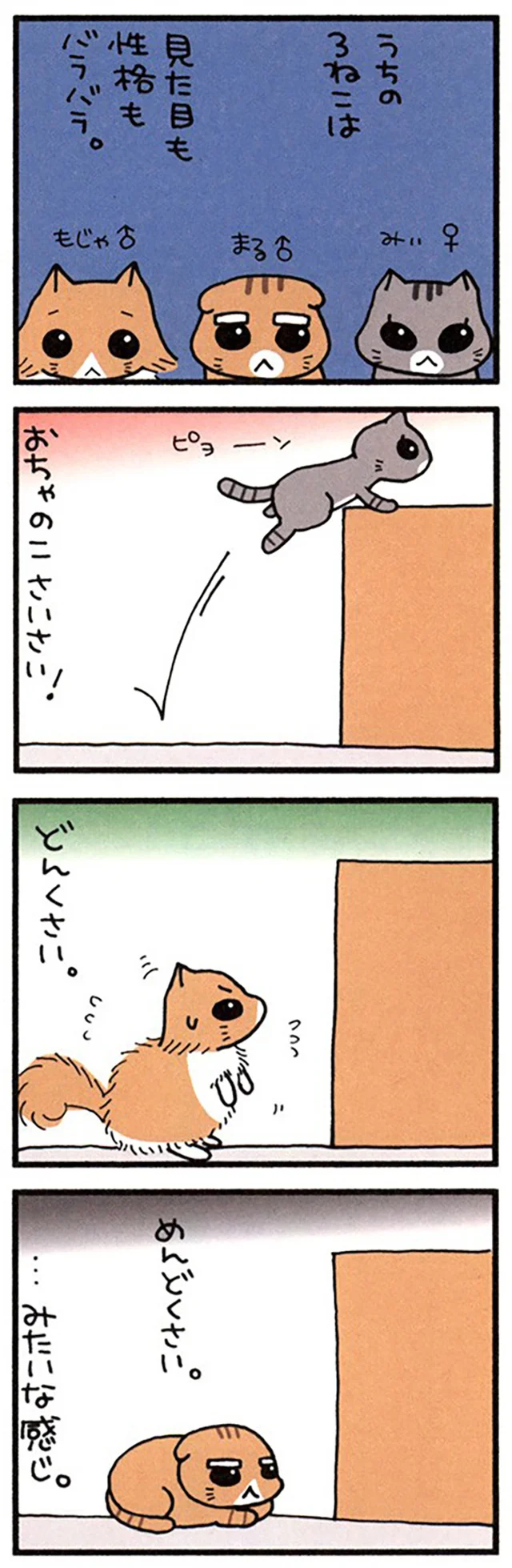 うちの3ねこ