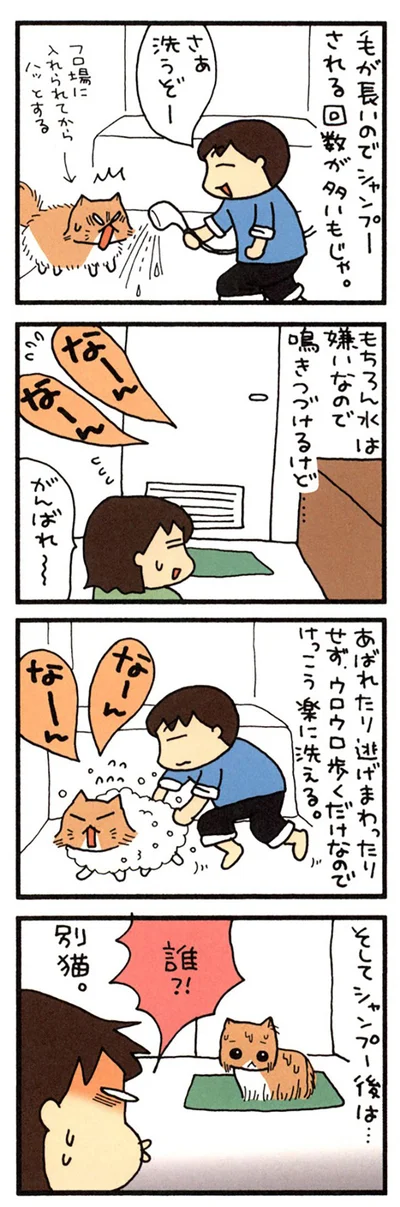 洗われたもじゃ