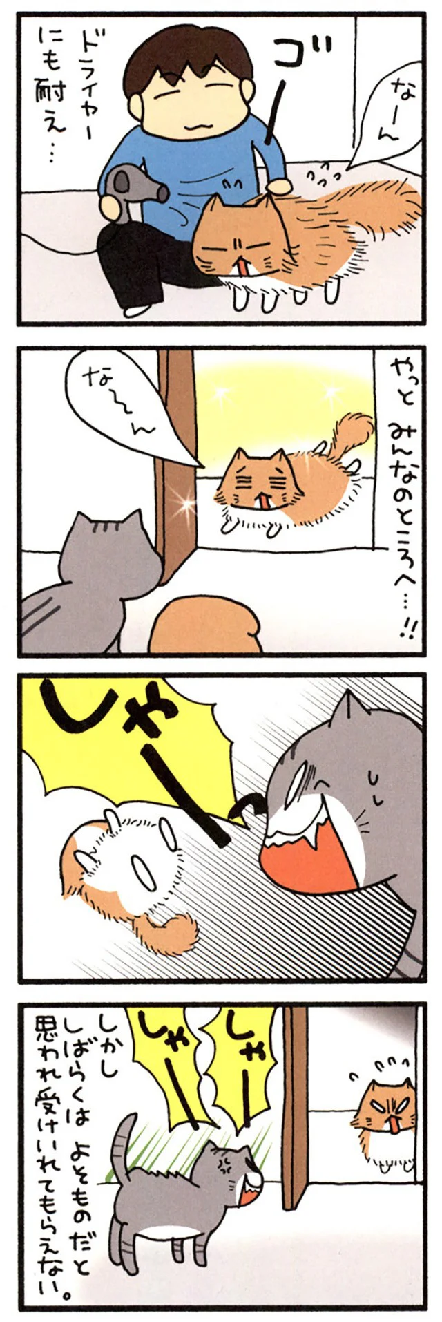 きれいになりすぎたもじゃ