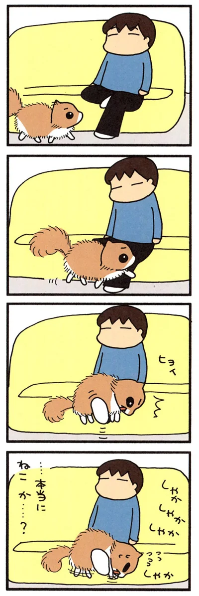 浮かんでしまったもじゃ