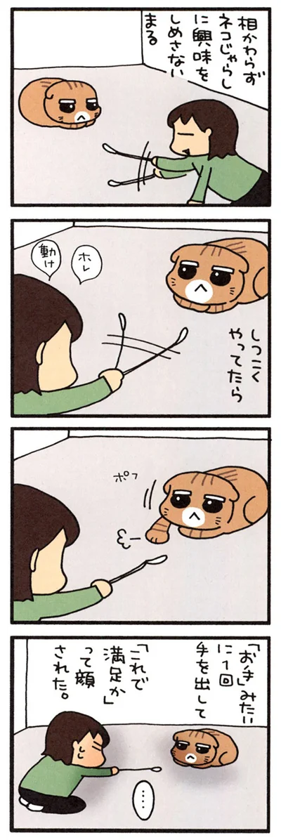 つきあってくれたまる