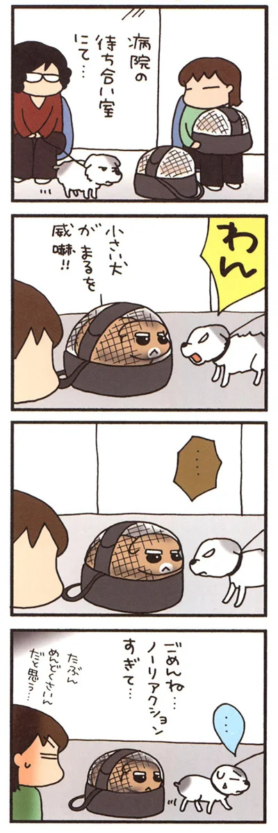 動じないまる