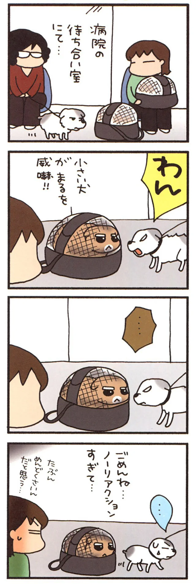 動じないまる