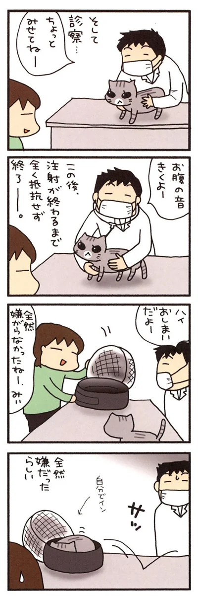 がんばったみぃ