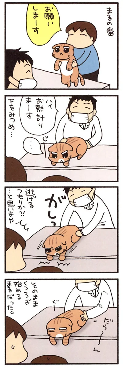 もうどうでもいい