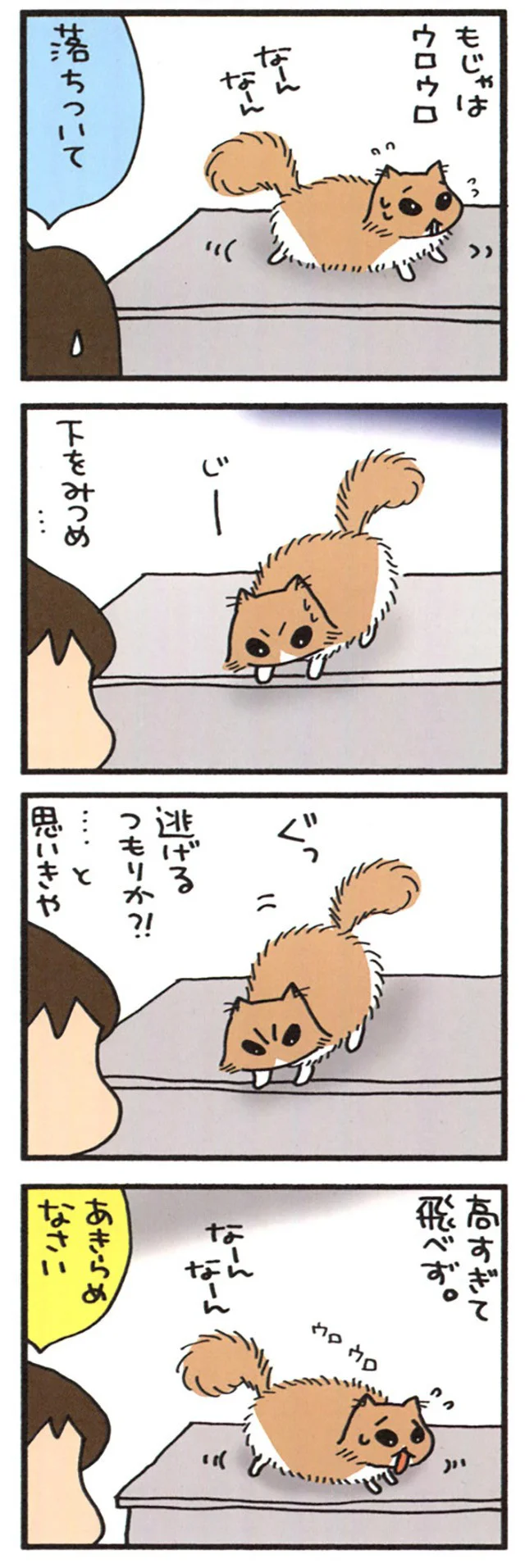無理だったもじゃ