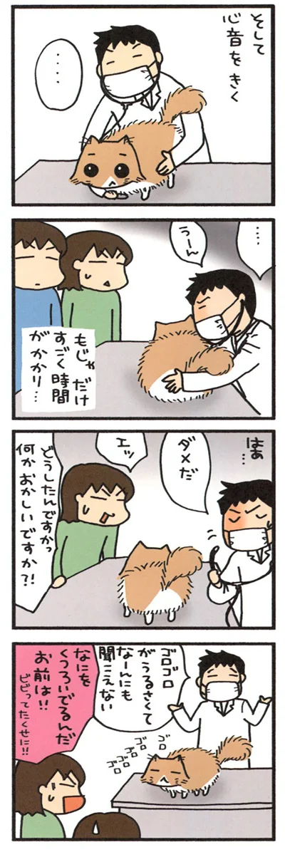 リラックスもじゃ