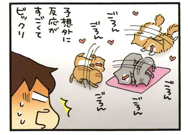 予想外に反応がすごくてビックリ