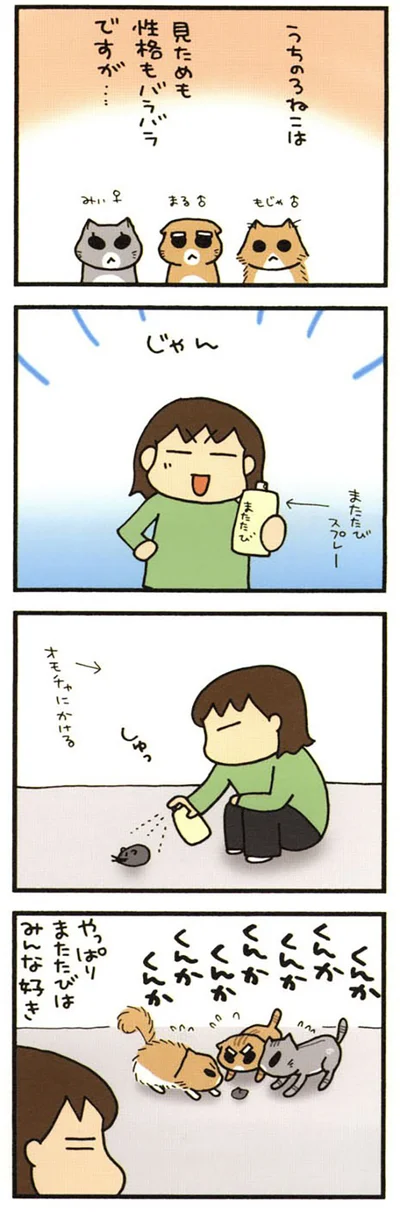 うちの3ねこ