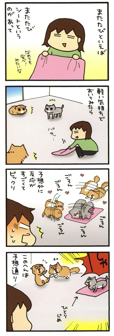 またたびシートの威力