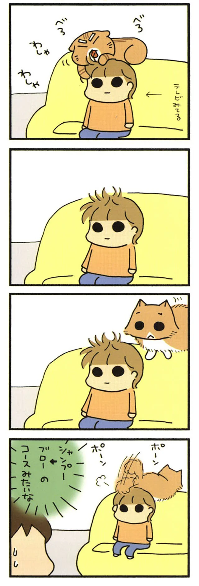 ねこ美容室
