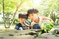 7月19日は「知育菓子の日」！ 夏休みの体験と笑顔を応援するキャンペーンを実施