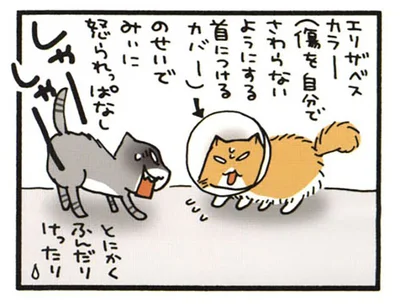とにかくふんだりけったり