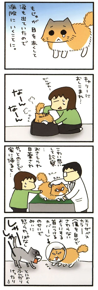 ふんだりけったりのもじゃ