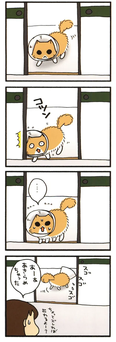 出られないもじゃ