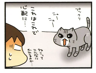 これはこれで心配に…