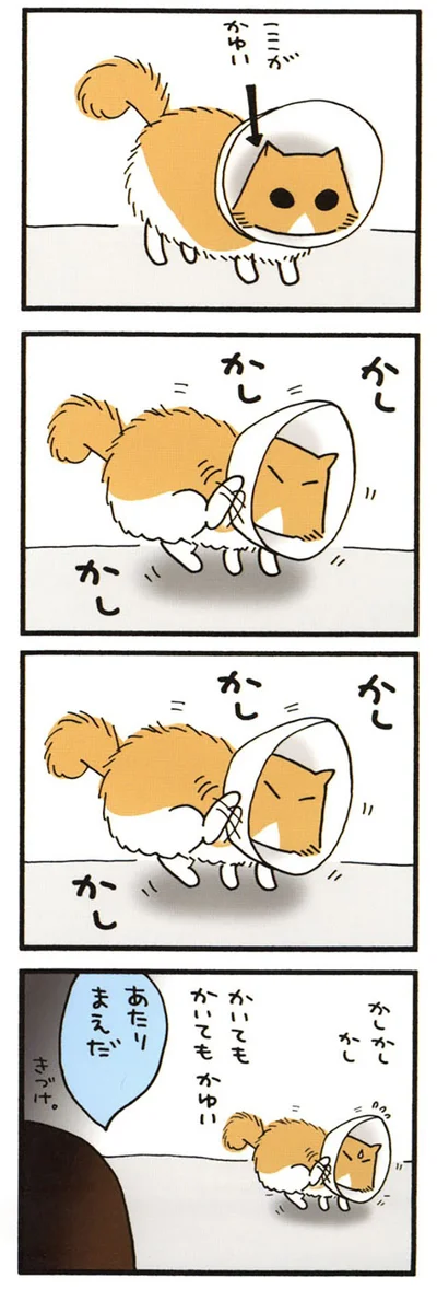 かゆいもじゃ