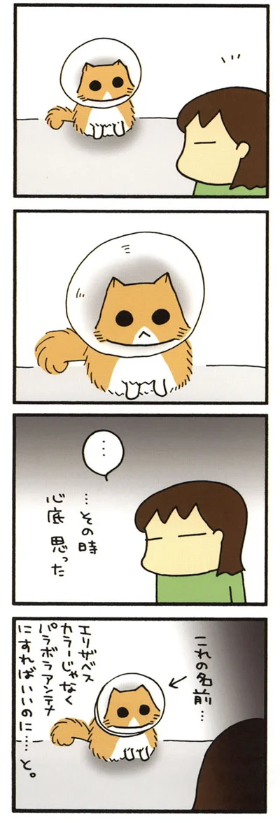 受信中