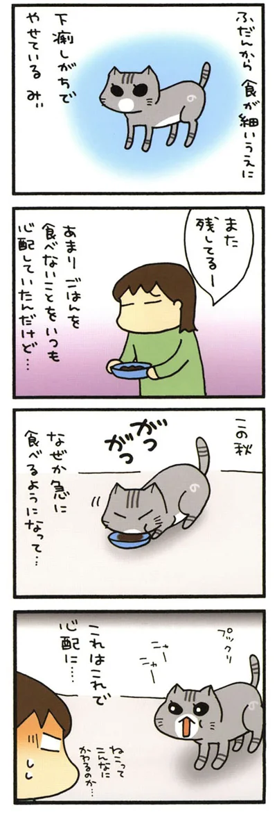 ビフォーアフター