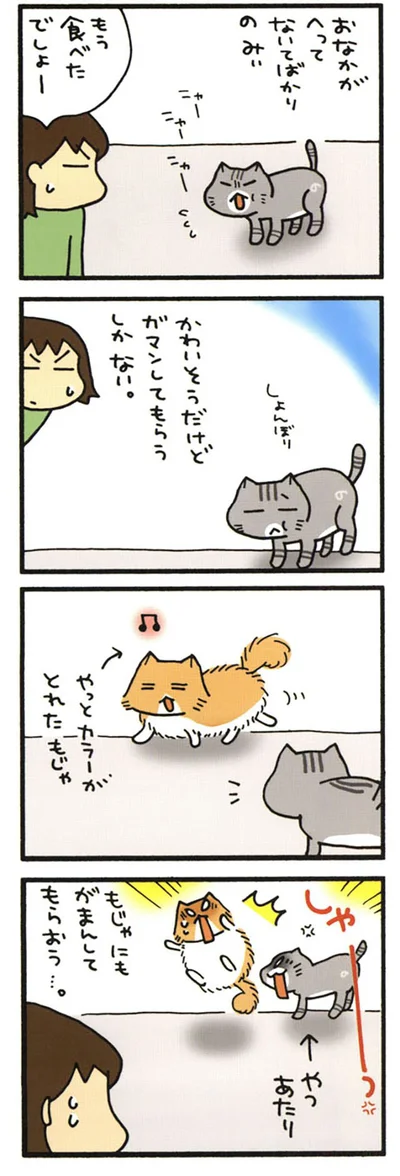 災難つづくもじゃ