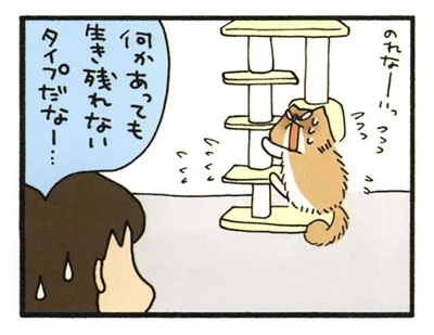 何かあっても生き残れないタイプだなー…